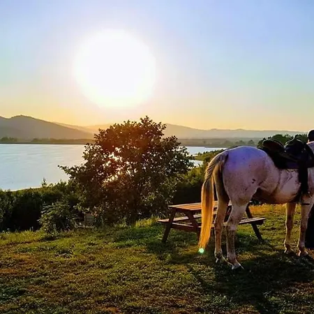 Zloty Widok אכסניה